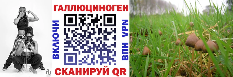 Галлюциногенные грибы Cubensis  хочу наркоту  Яровое 