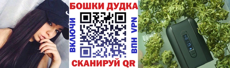 Шишки марихуана план Яровое